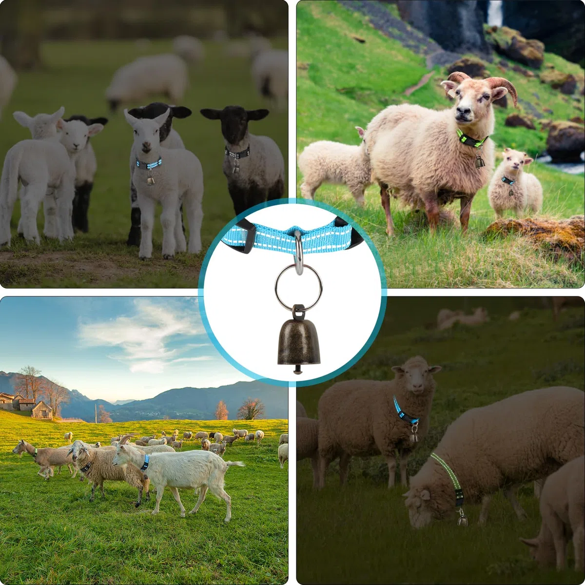 5 Stück Reflektierend Ziegen Halsbänder mit Glöckchen, Verstellbare Nylon Schaf Halsbänder,auf der Weide Kuhglocken für Kleine Nutztiere Ziege Schaf und Kuh mit Anti-Verlust-Halsband