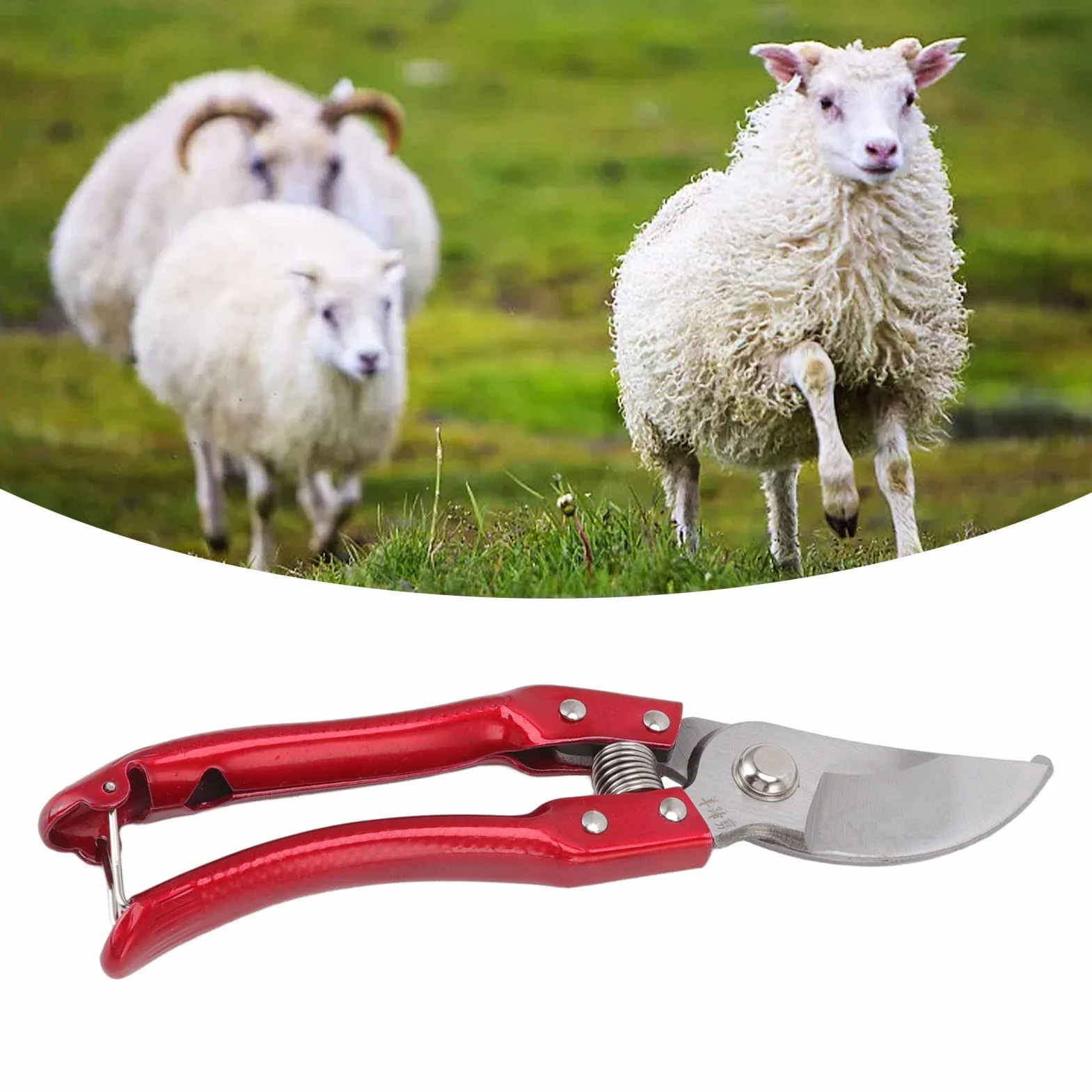 Ziegenklauenscheren, Scheren Nagelknipser für Schafe, Schweine-Traber-Scherenzange mit Stärkerer Federbelastung Werkzeug Zum Trimmen von Tierzehennägeln Klauenschere Tier-Zehennägel-Schere(Rot)