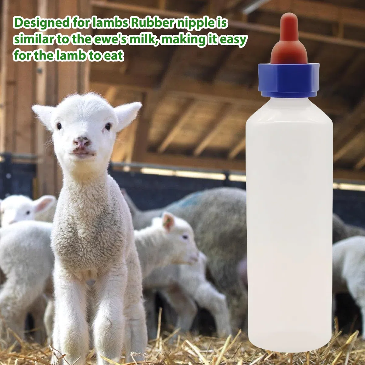 2 Stücke Lamm Milchflasche: Lämmermilch Aufzuchtflasche 500ml mit 4 Milch Trinken Nippel, Stillflasche für Schafe mit Griff, Nutztier Aufzuchtflaschen für Kälberoder Lammzucht Kuh Vieh