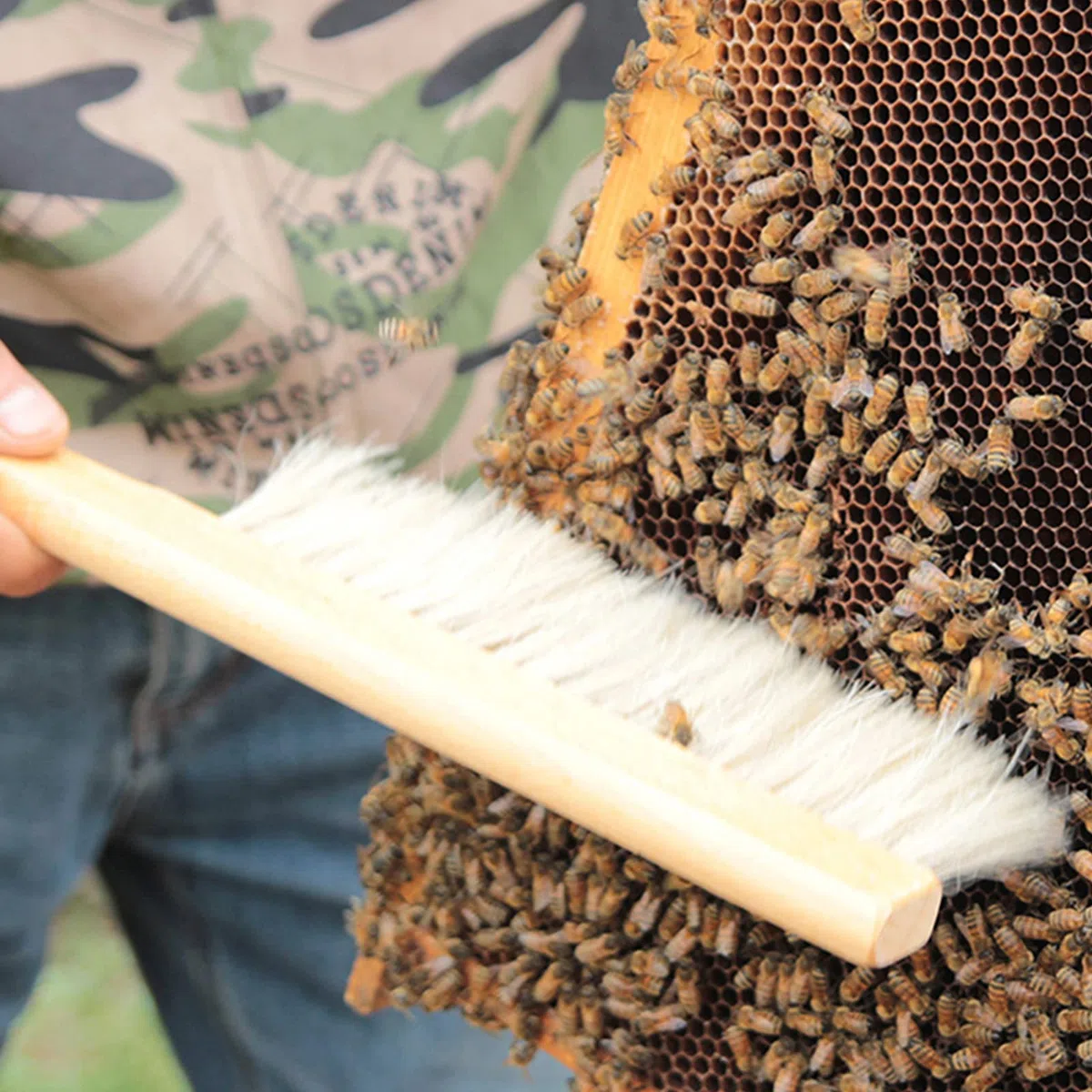 Bienenbürste Bienenstockbürste Bienenbesen Bienenkehrbürste Bienen Bürsten Werkzeug mit Holz Griff Borsten Bienenbürste Bienenbürste mit Holzgriff Abkehrbesen für Imker Imkerei Bienenbürste 2 Stück