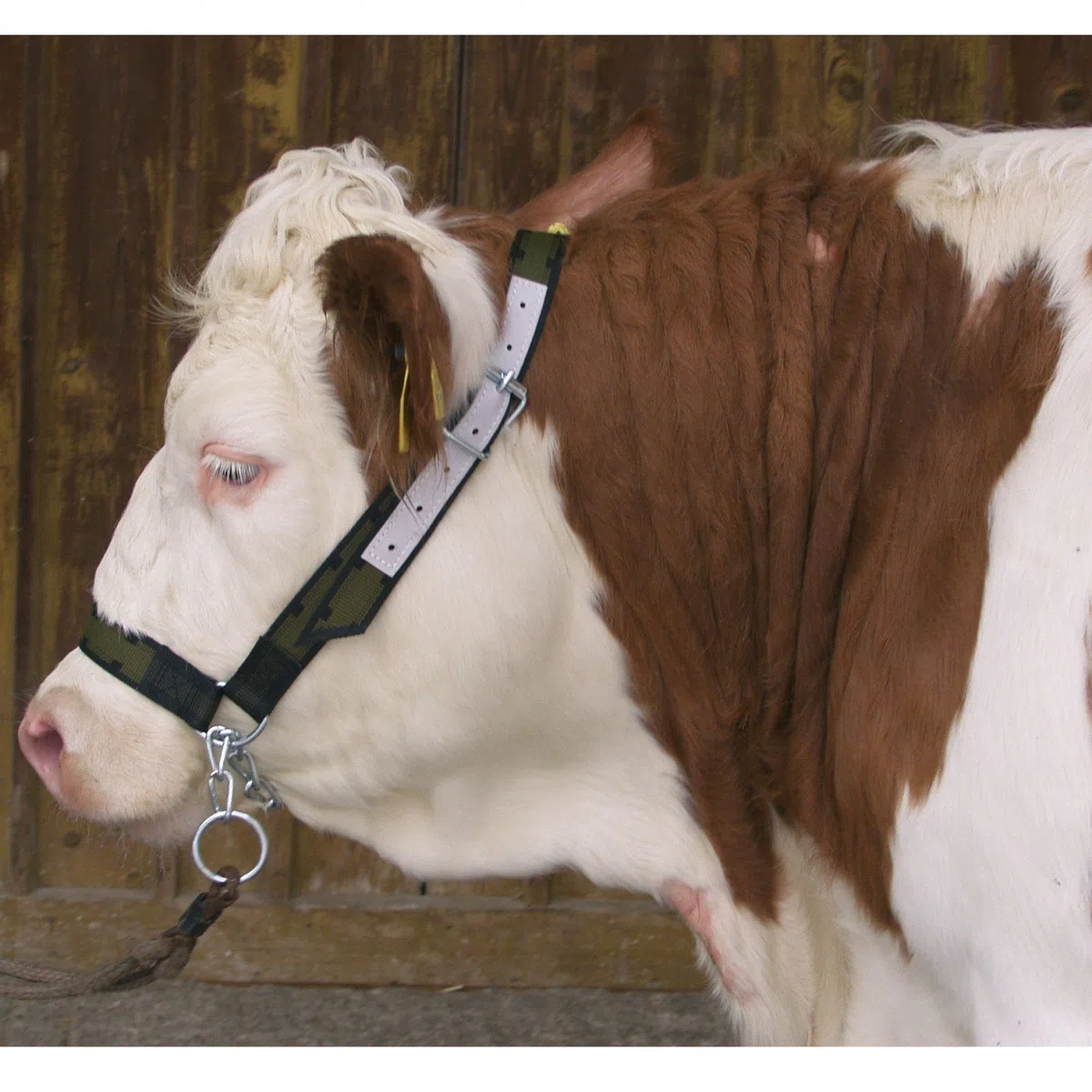 Kerbl Kuhhalfter mit Kinnkette