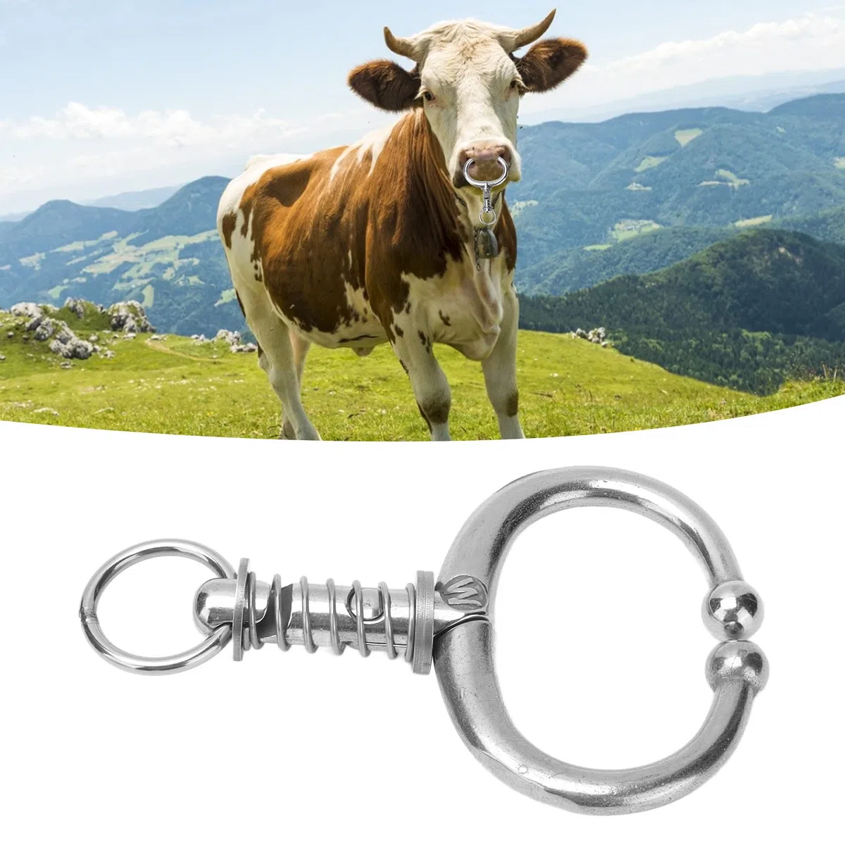 Bullen-Nasenringe, Edelstahl, für Rinder, Rinder, Nasenringe, Nutztiere, Edelstahl, für Rinder, Nasenklemme, Federtyp, Bullenkuh Feder geladene Nasenklemme für Kühe (Mittlerer W Spring Bull Nasenring)