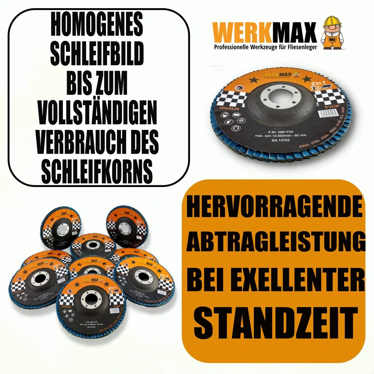 WFS Fächerscheiben 125 mm | 10 Schleifscheiben Korn 60 | Metall Lamellenscheibe