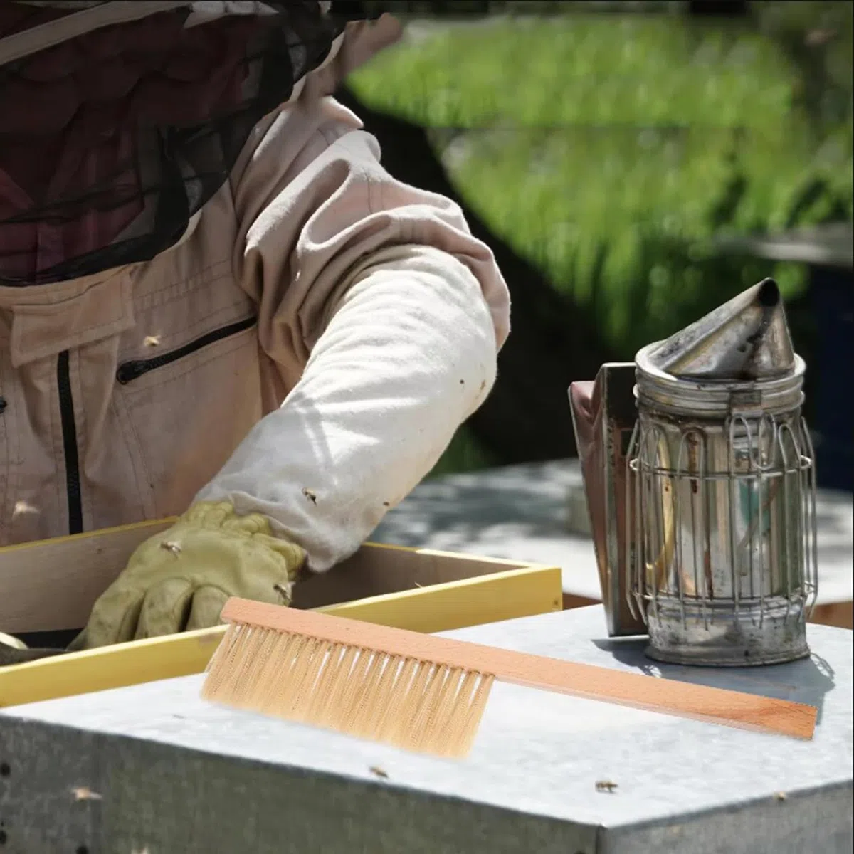 Bienenbürste Bienenstockbürste Bienenbesen Bienenkehrbürste Bienen Bürsten Werkzeug mit Holz Griff Borsten Bienenbürste Bienenbürste mit Holzgriff Abkehrbesen für Imker Imkerei Bienenbürste 2 Stück