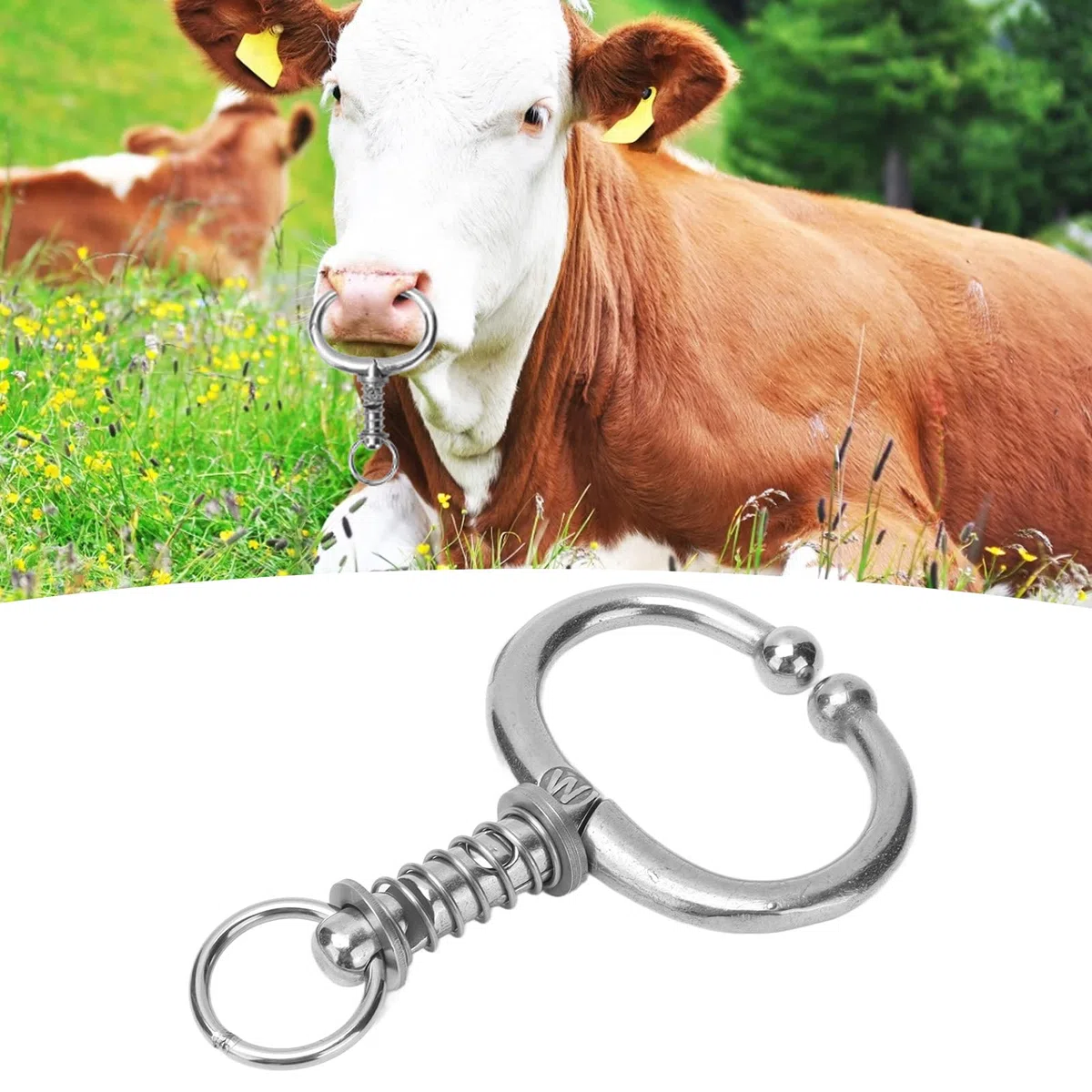 Bullen-Nasenringe, Edelstahl, für Rinder, Rinder, Nasenringe, Nutztiere, Edelstahl, für Rinder, Nasenklemme, Federtyp, Bullenkuh Feder geladene Nasenklemme für Kühe (Mittlerer W Spring Bull Nasenring)