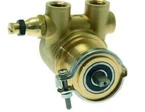 Astoria Rotoflow Drehschieberpumpe, 9,5 mm NPT, Gold, Edelstahl, Industriell / Rotationspumpe, 100 L/h